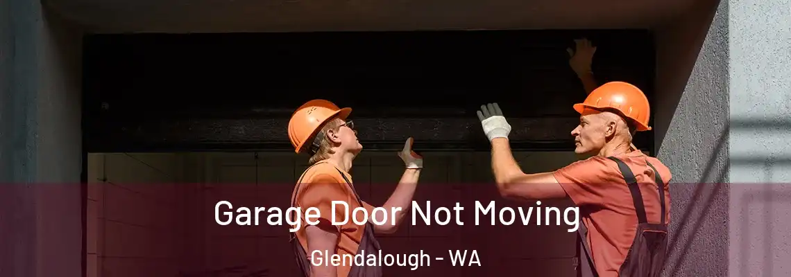 Garage Door Not Moving Glendalough - WA