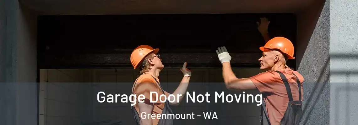 Garage Door Not Moving Greenmount - WA