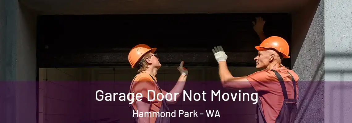  Garage Door Not Moving Hammond Park - WA