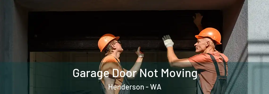  Garage Door Not Moving Henderson - WA