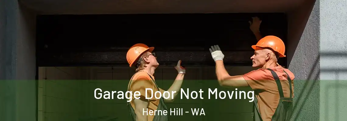  Garage Door Not Moving Herne Hill - WA