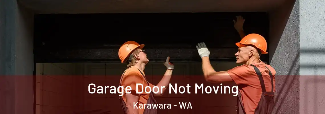  Garage Door Not Moving Karawara - WA