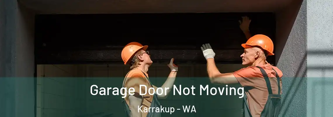  Garage Door Not Moving Karrakup - WA