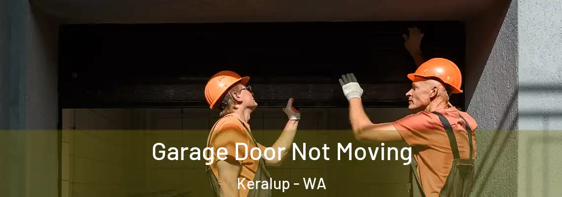  Garage Door Not Moving Keralup - WA