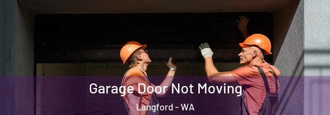  Garage Door Not Moving Langford - WA