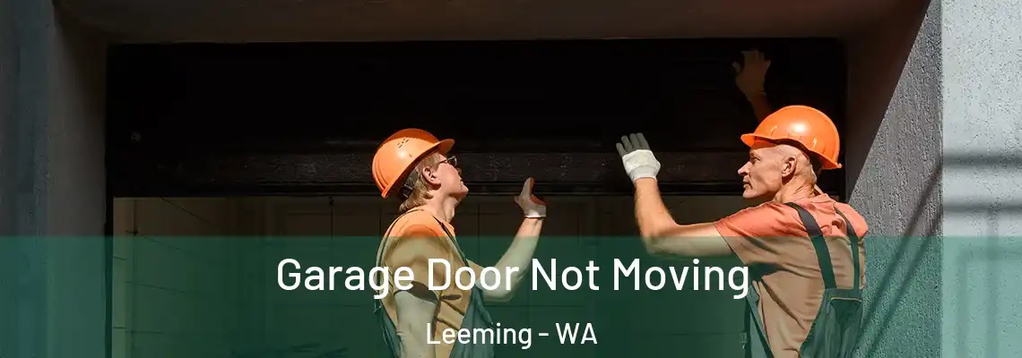 Garage Door Not Moving Leeming - WA