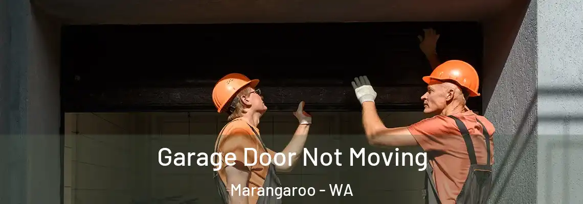  Garage Door Not Moving Marangaroo - WA