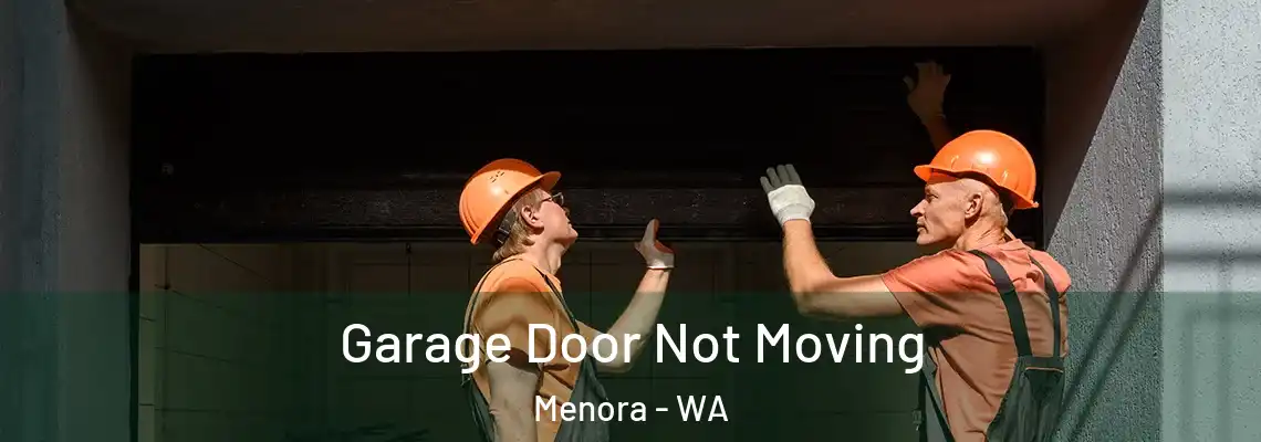  Garage Door Not Moving Menora - WA