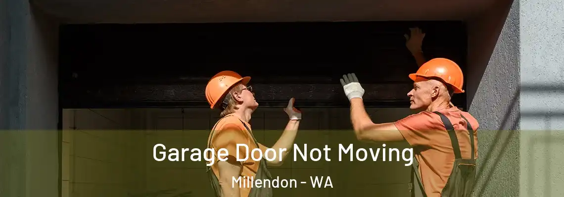  Garage Door Not Moving Millendon - WA