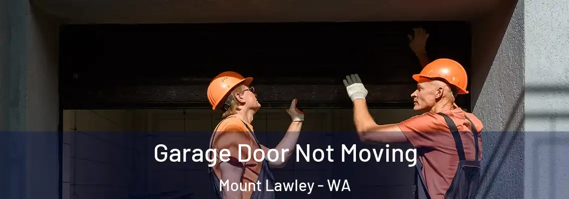 Garage Door Not Moving Mount Lawley - WA