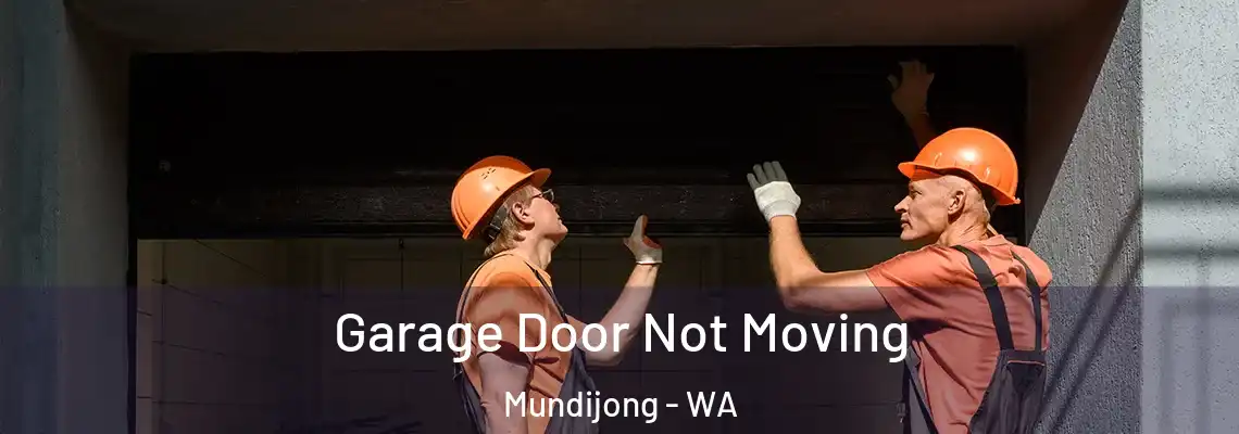 Garage Door Not Moving Mundijong - WA