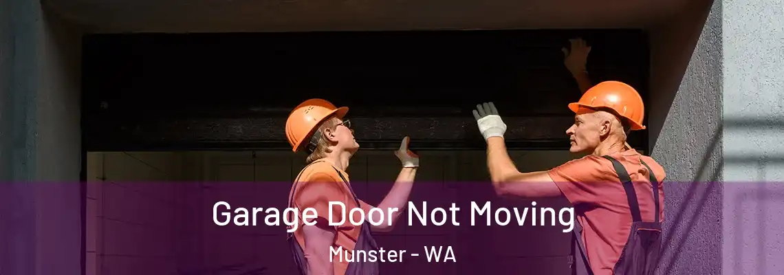 Garage Door Not Moving Munster - WA