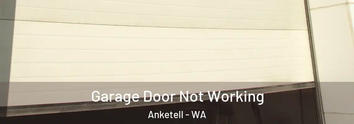  Garage Door Not Working Anketell - WA
