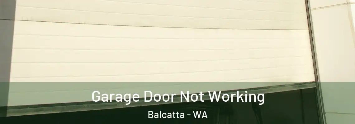  Garage Door Not Working Balcatta - WA