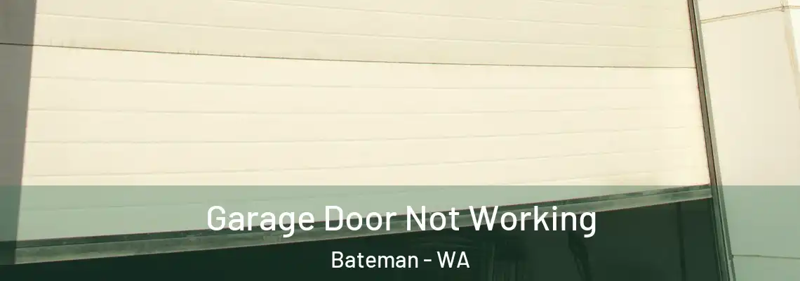  Garage Door Not Working Bateman - WA