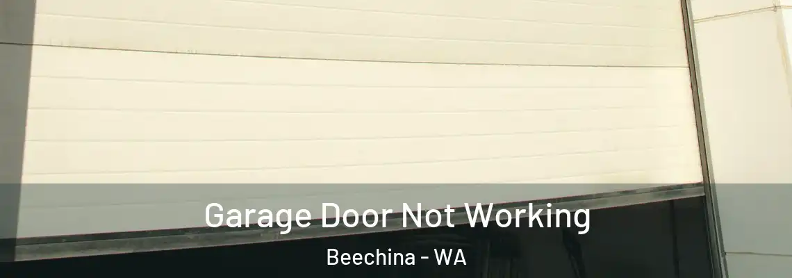  Garage Door Not Working Beechina - WA