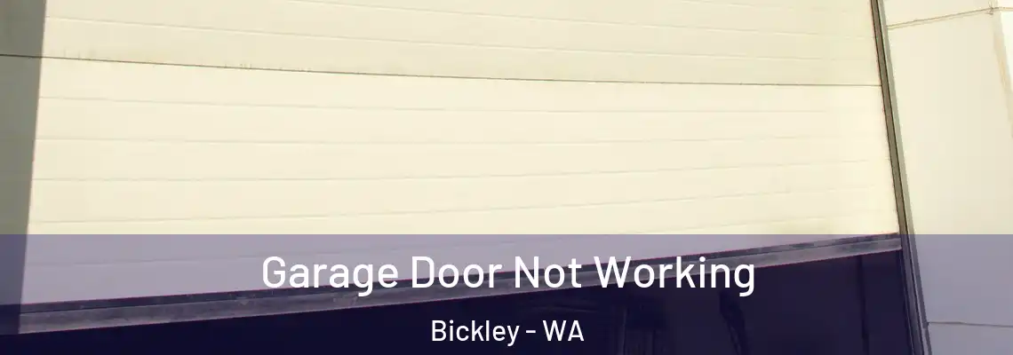  Garage Door Not Working Bickley - WA