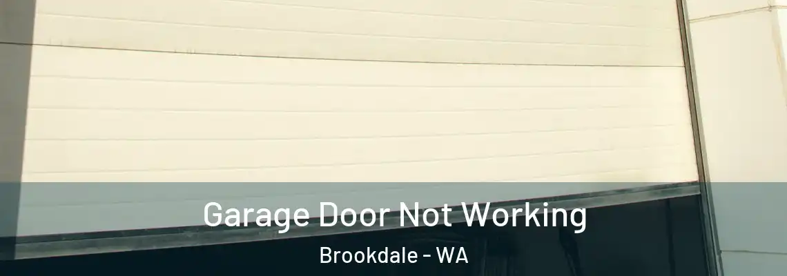  Garage Door Not Working Brookdale - WA