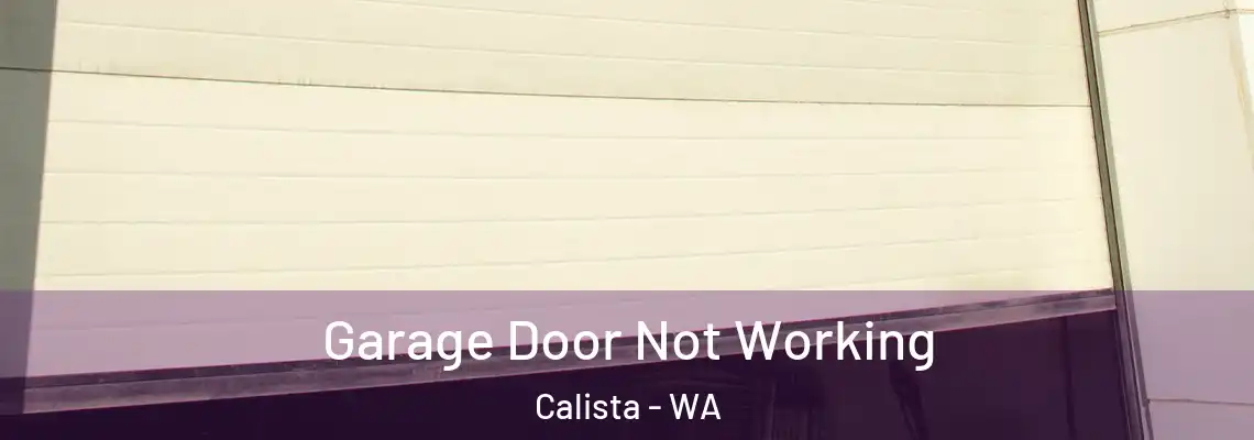  Garage Door Not Working Calista - WA