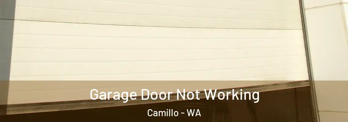 Garage Door Not Working Camillo - WA