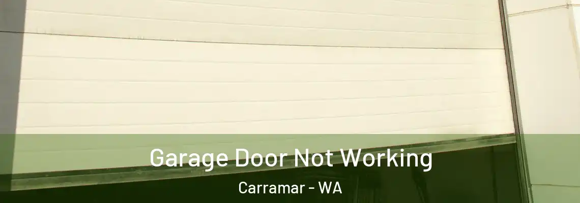  Garage Door Not Working Carramar - WA