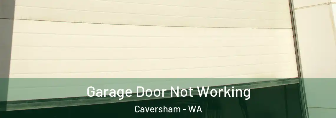  Garage Door Not Working Caversham - WA