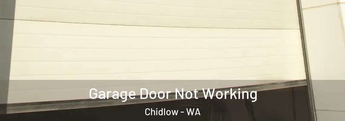  Garage Door Not Working Chidlow - WA
