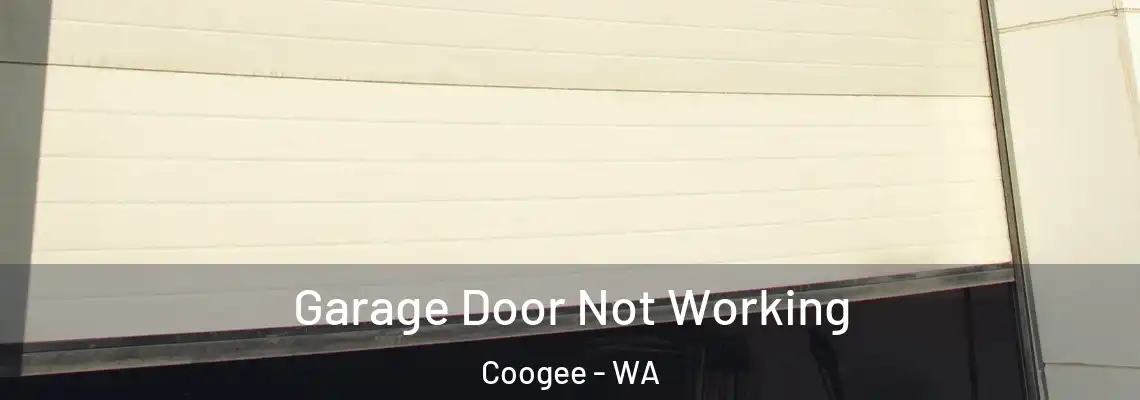  Garage Door Not Working Coogee - WA