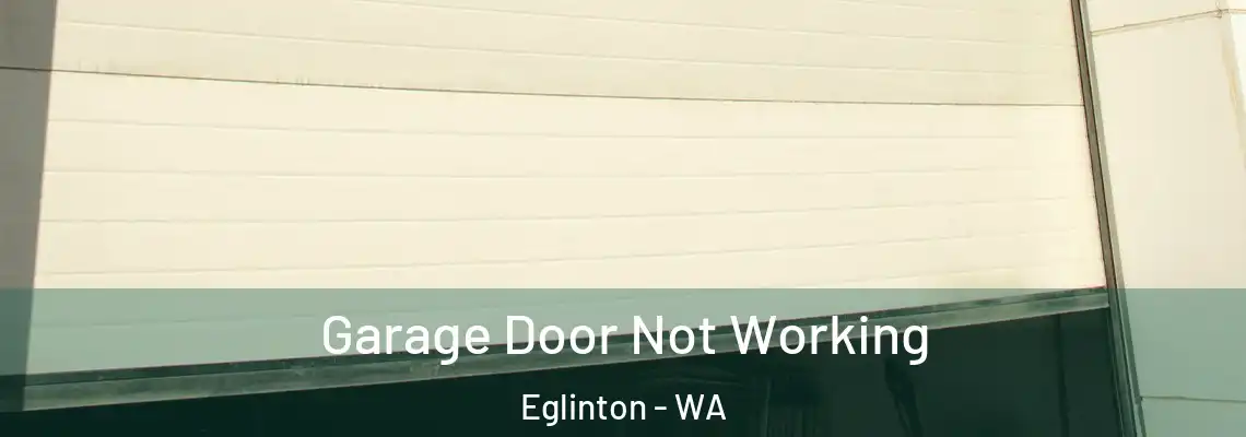  Garage Door Not Working Eglinton - WA