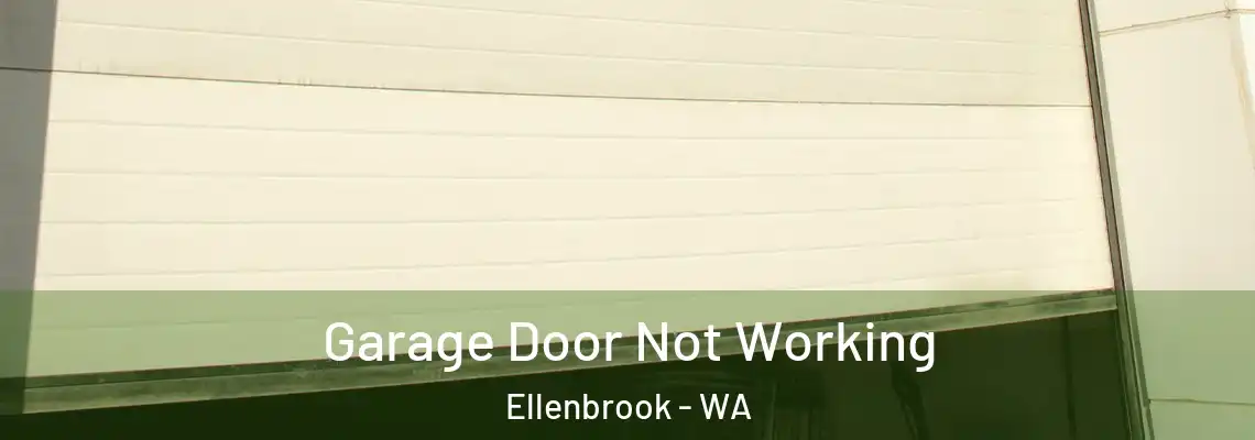 Garage Door Not Working Ellenbrook - WA