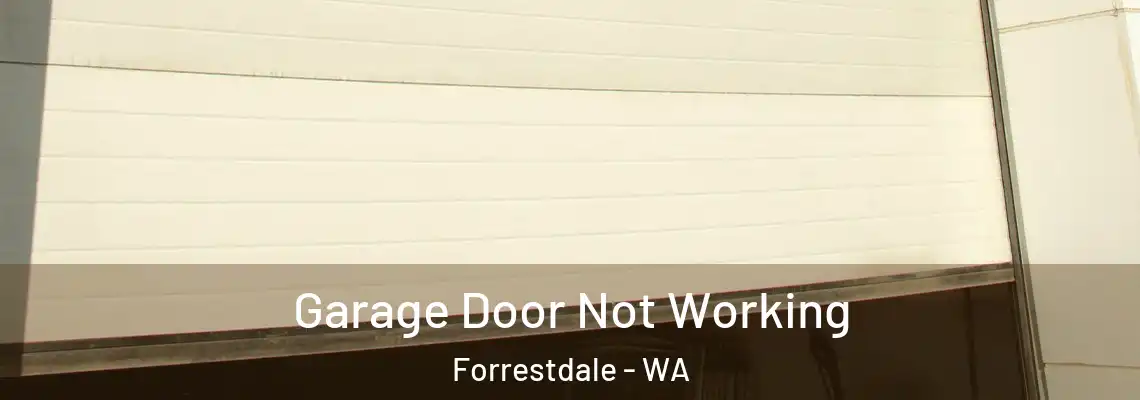  Garage Door Not Working Forrestdale - WA