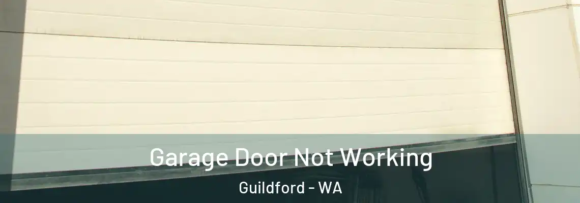 Garage Door Not Working Guildford - WA