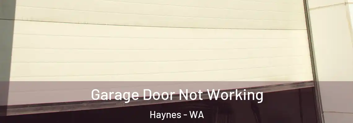  Garage Door Not Working Haynes - WA