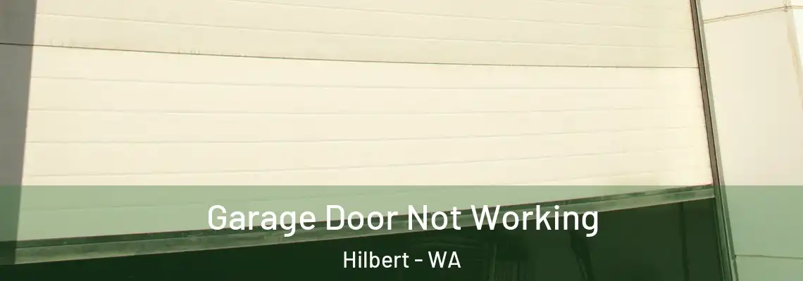  Garage Door Not Working Hilbert - WA
