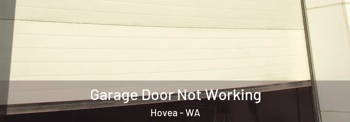  Garage Door Not Working Hovea - WA