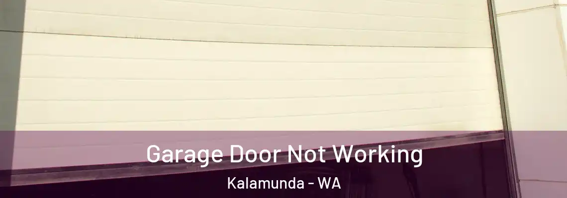  Garage Door Not Working Kalamunda - WA