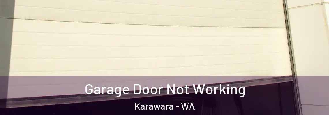  Garage Door Not Working Karawara - WA