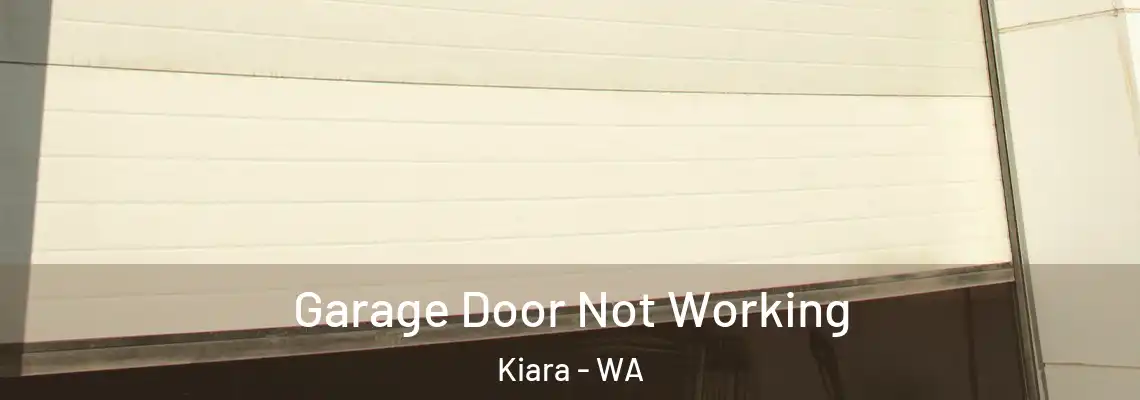  Garage Door Not Working Kiara - WA
