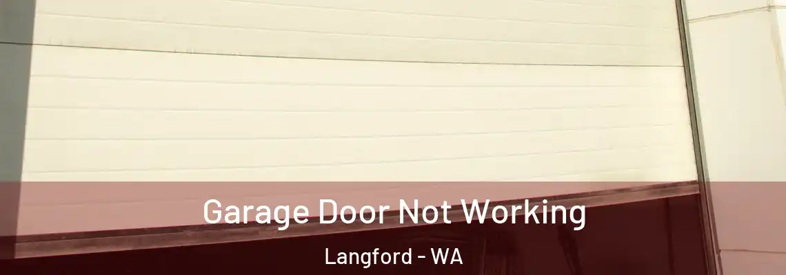  Garage Door Not Working Langford - WA