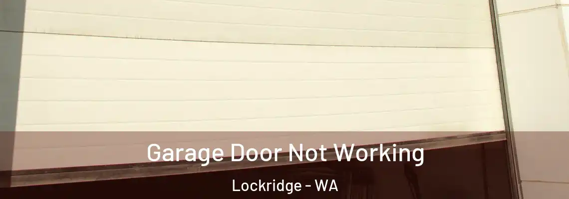  Garage Door Not Working Lockridge - WA