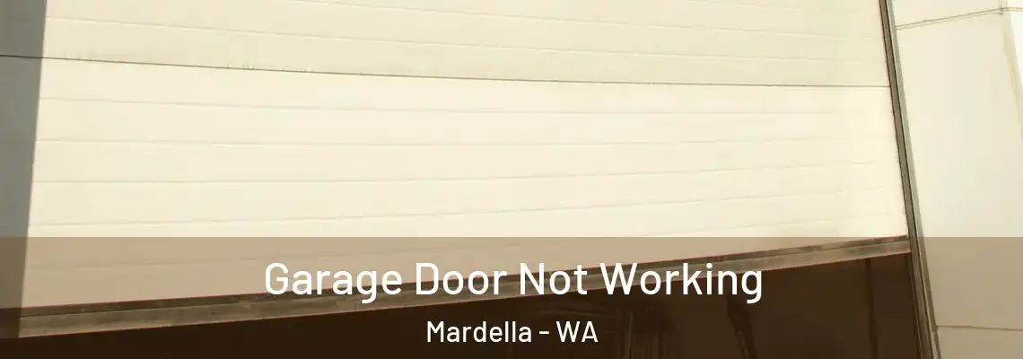  Garage Door Not Working Mardella - WA