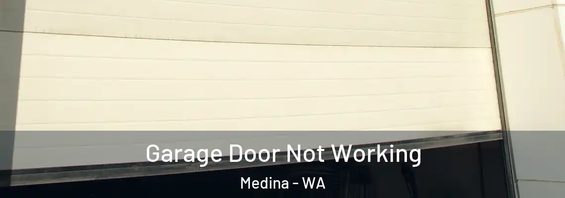  Garage Door Not Working Medina - WA
