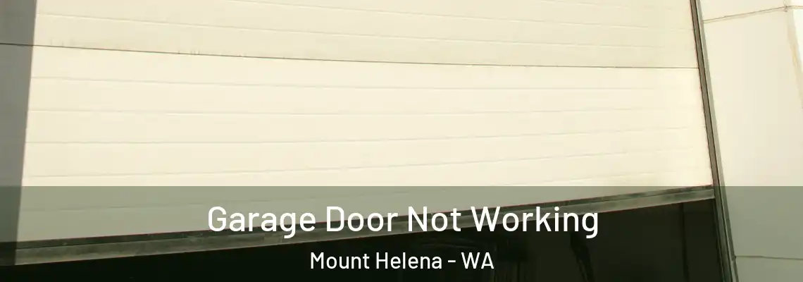  Garage Door Not Working Mount Helena - WA