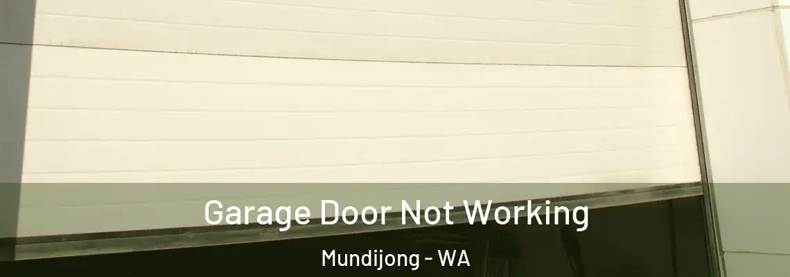  Garage Door Not Working Mundijong - WA