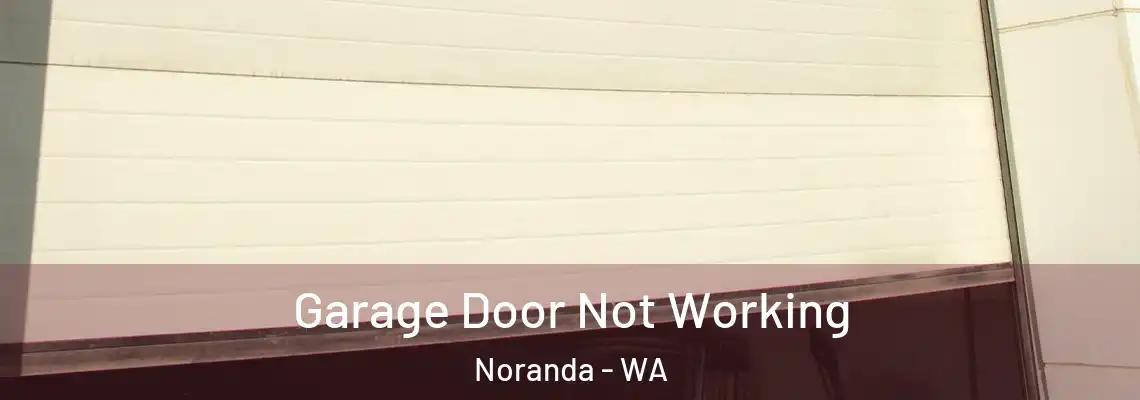  Garage Door Not Working Noranda - WA