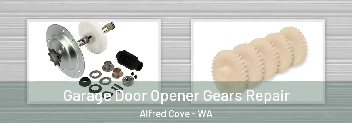  Garage Door Opener Gears Repair Alfred Cove - WA