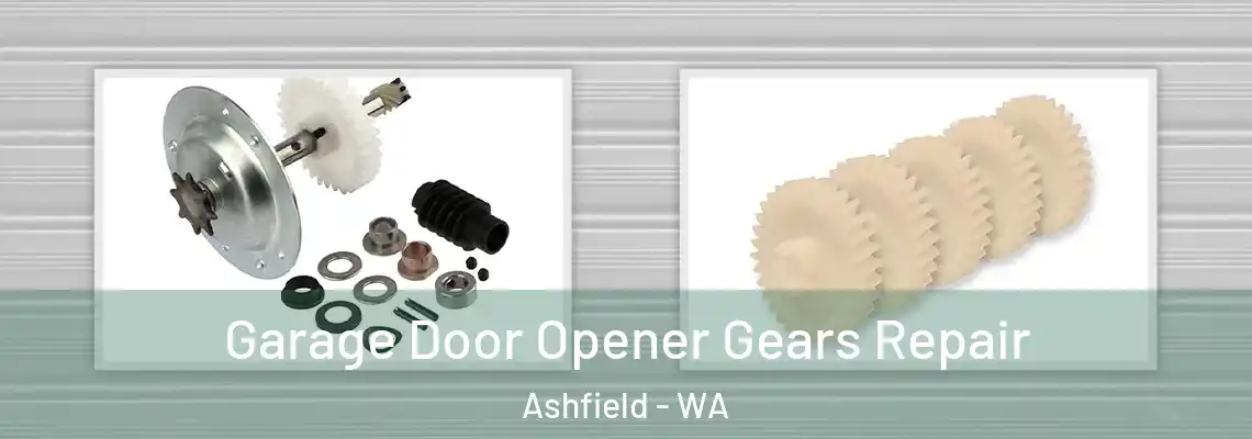  Garage Door Opener Gears Repair Ashfield - WA