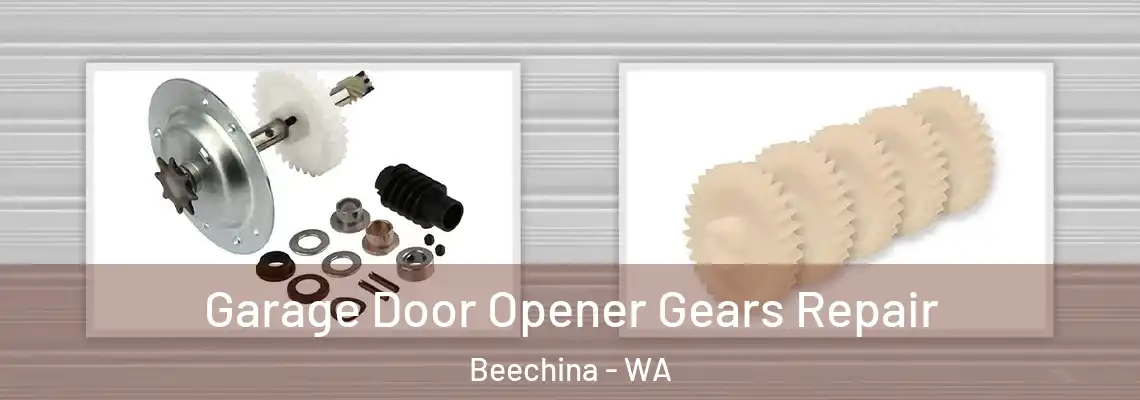 Garage Door Opener Gears Repair Beechina - WA