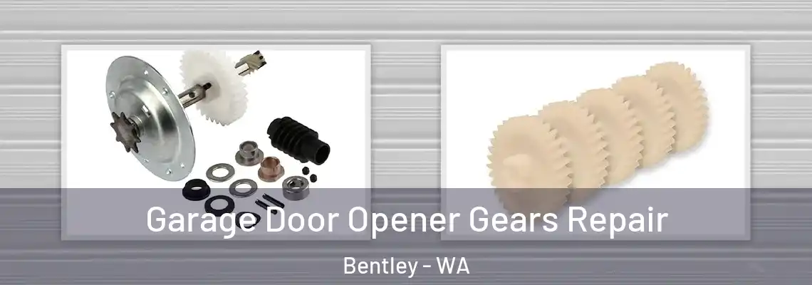  Garage Door Opener Gears Repair Bentley - WA