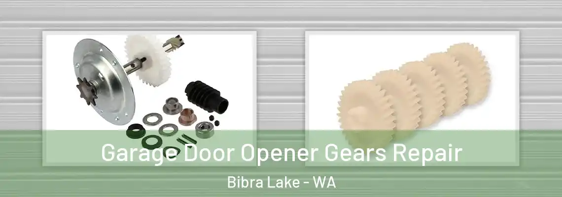  Garage Door Opener Gears Repair Bibra Lake - WA